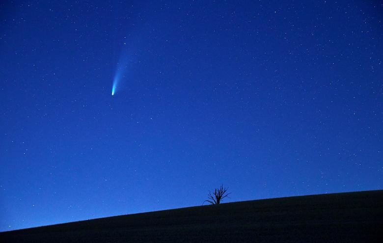 The Comet C/2020 or "Neowise" is seen in the sky behind a tree in Mies near Lausanne, Switzerland. REUTERS/Denis Balibouse    